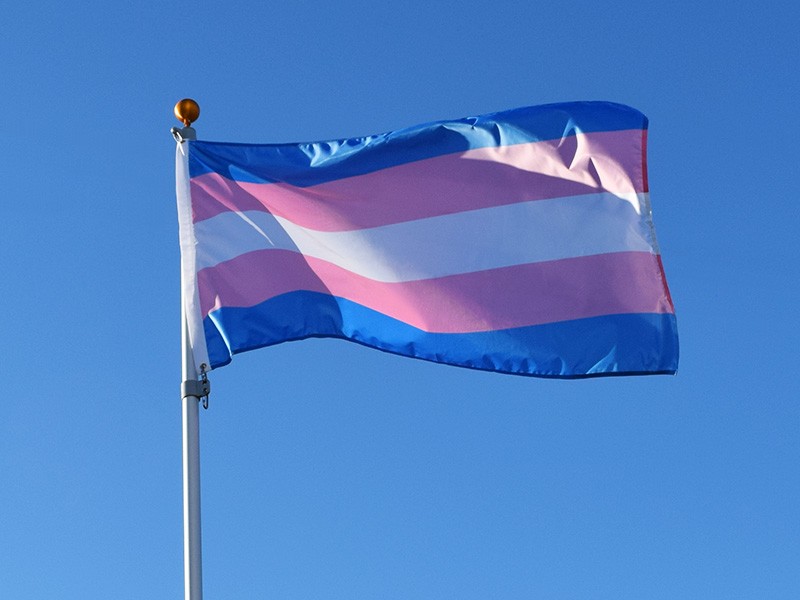 The transgender flag